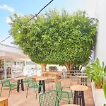 Tent 3* Playa de Palma (Mallorca)